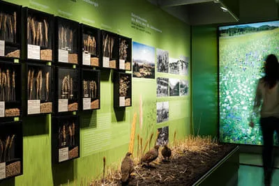 Haus der Natur Salzburg Bild 14